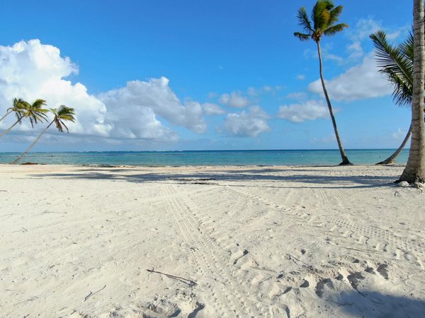 Savourer l'hiver en chalet au bord du lac : conseils incontournables et astuces à ne pas manquer