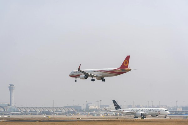 Découvrez les Meilleurs Gîtes de France pour Séjours avec Animaux de Compagnie